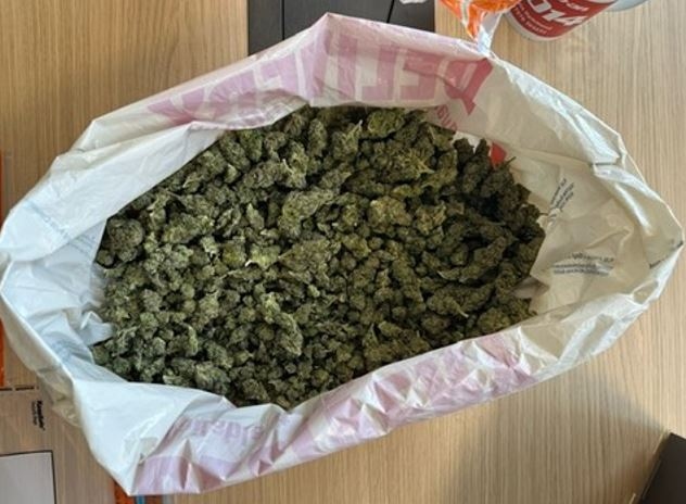 Cannabis seized during the raid